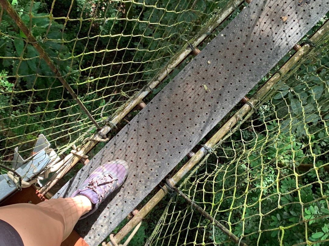 Mulu Skywalk-姆鲁国家公园必去景点