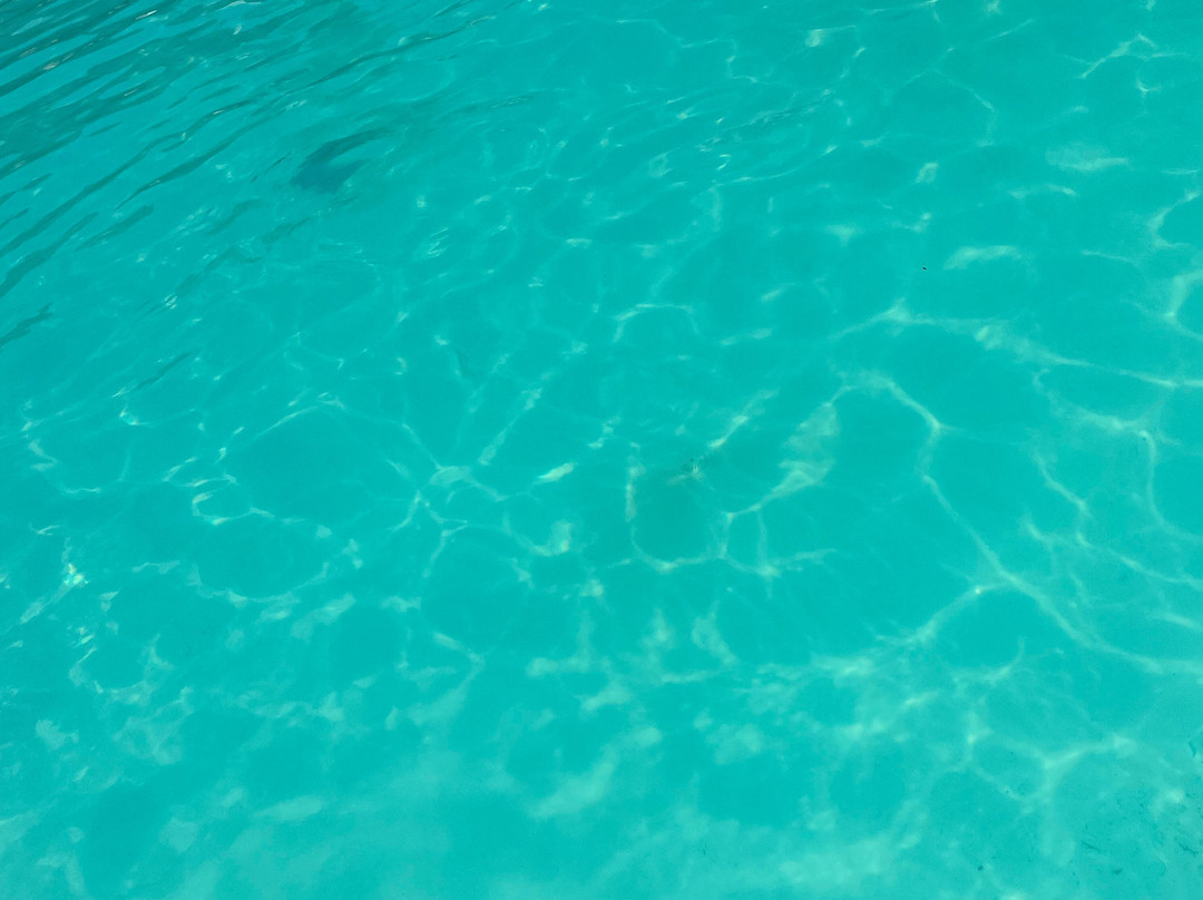 D'Andrea Mare Beach Hotel主图