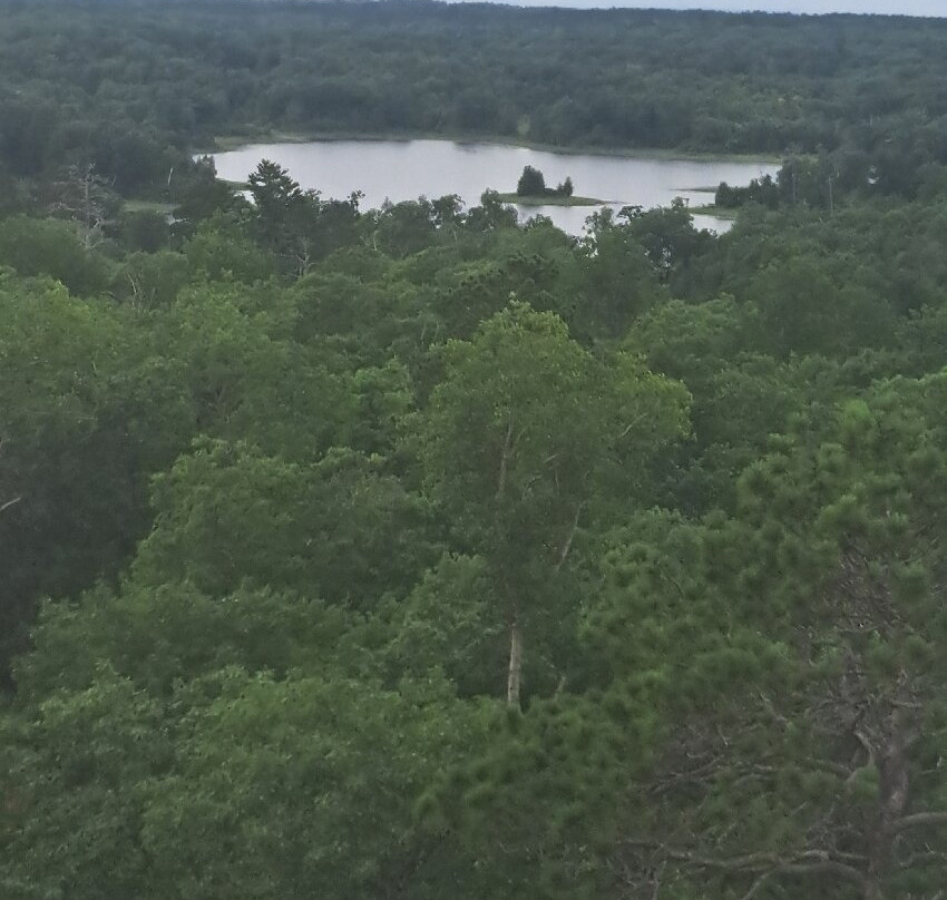 Aiton Heights Fire Tower-Lake Itasca必去景点