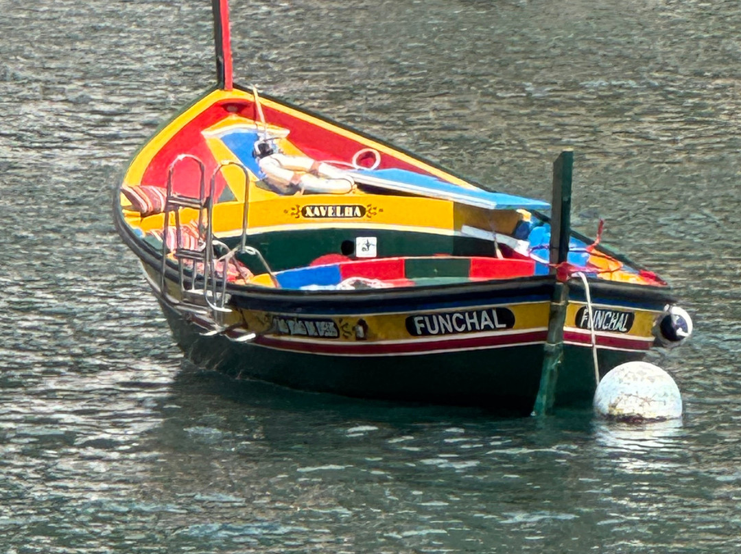 Barco São João de Deus-Camara De Lobos必去景点