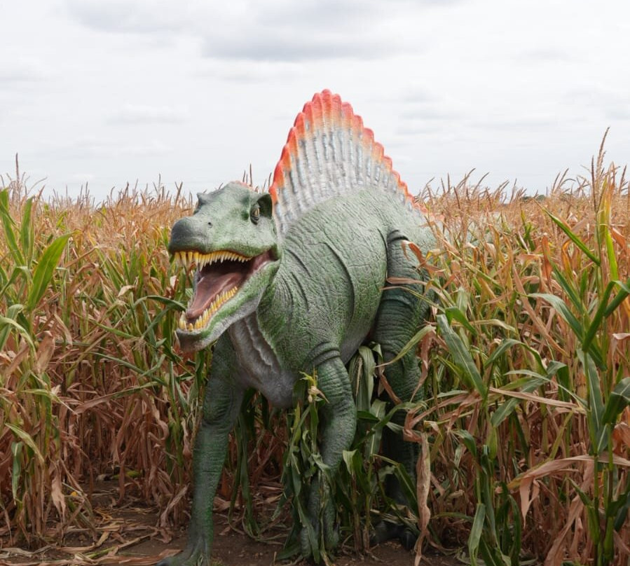 The Patch MK-米尔顿凯恩斯必去景点