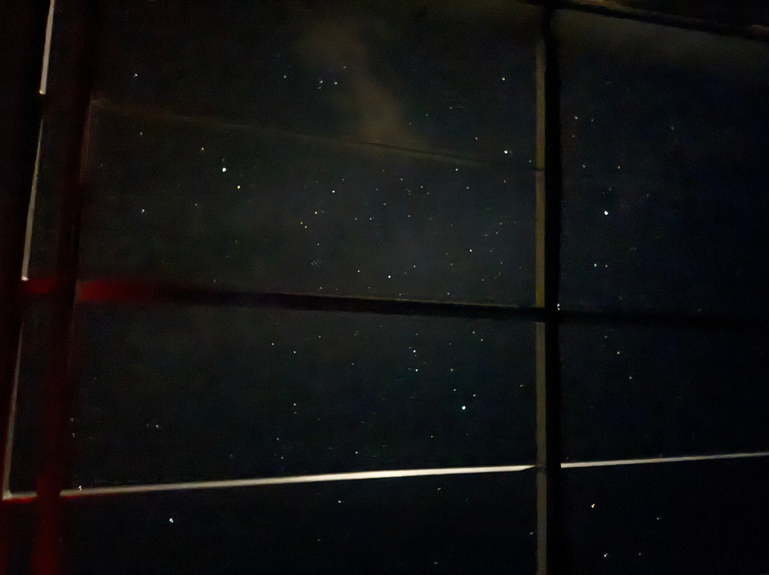 Cayman Kayaks-Rum Point必去景点