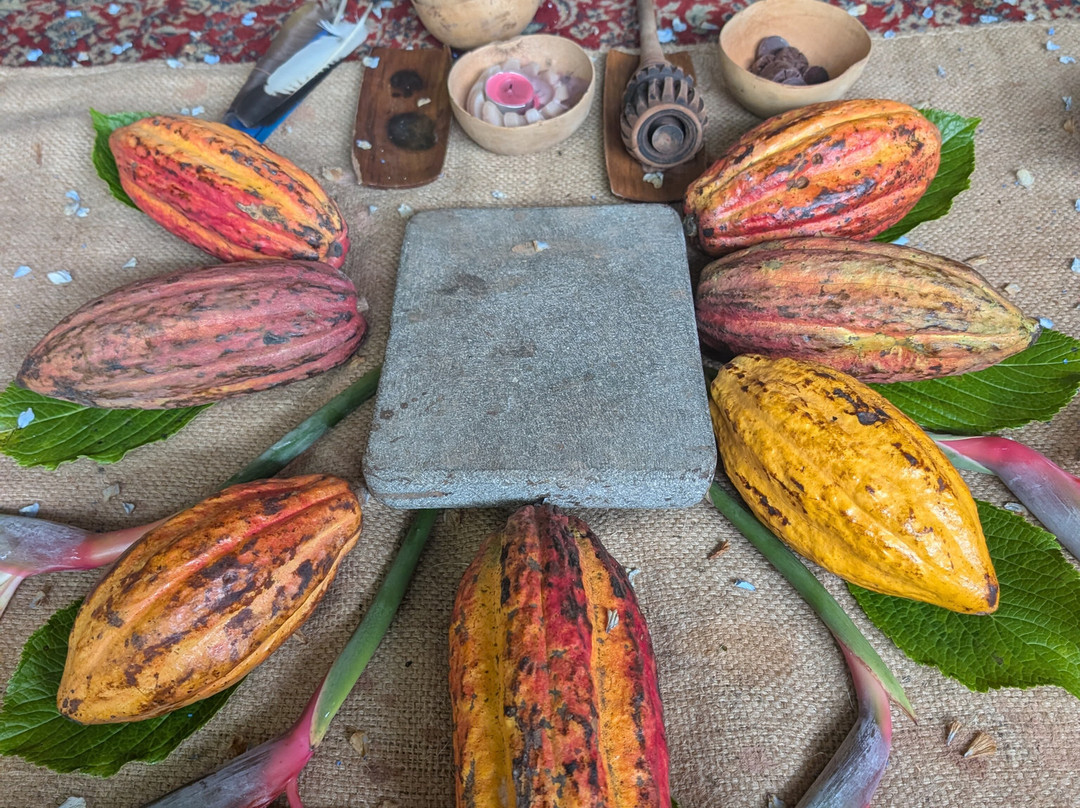 Bici Chocolate Tour-San Isidro必去景点