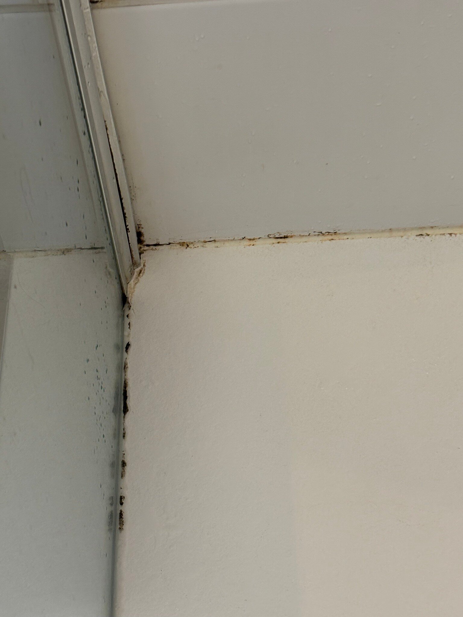 Hôtel Vent d'Iroise La Pointe Saint Mathieu-官方