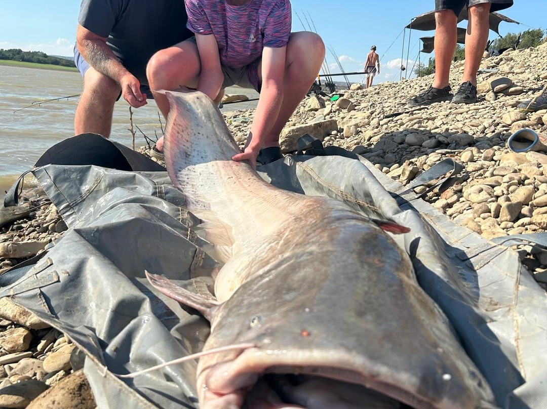 River Ebro Catfishing Holidays-Caspe必去景点