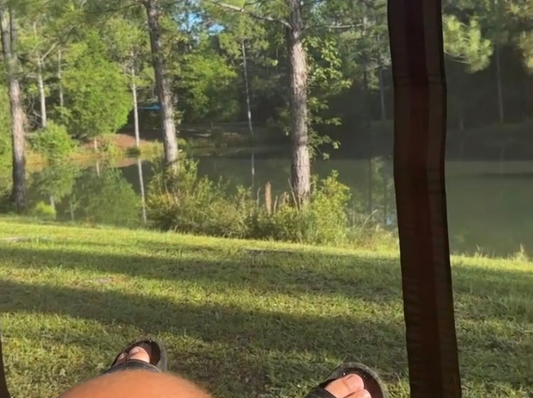 Blackwater Joe's-Holt必去景点