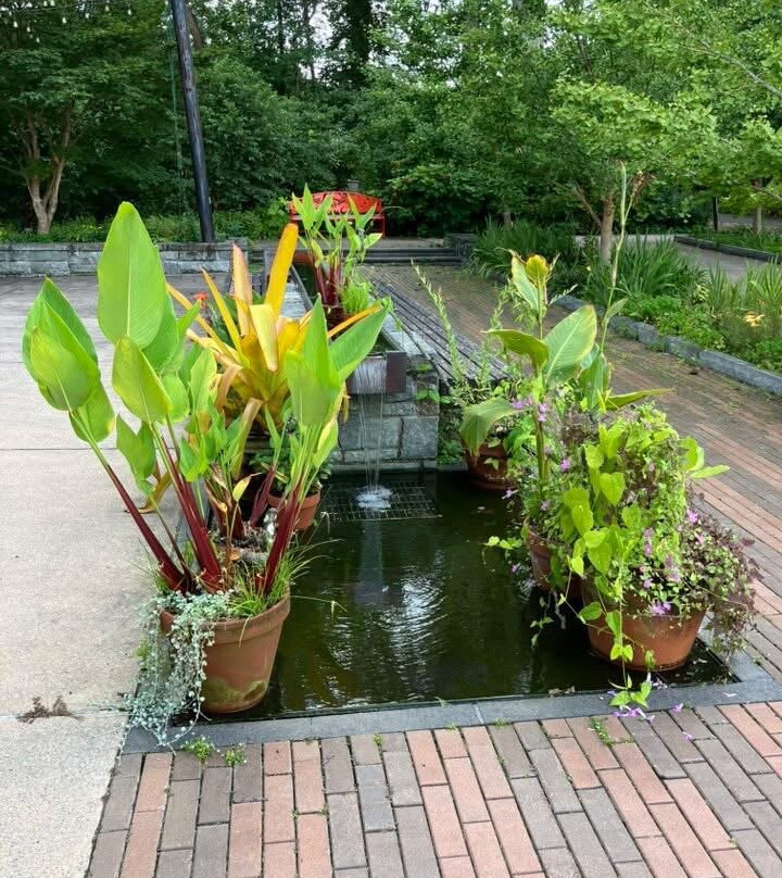 Brookside Gardens-惠顿必去景点