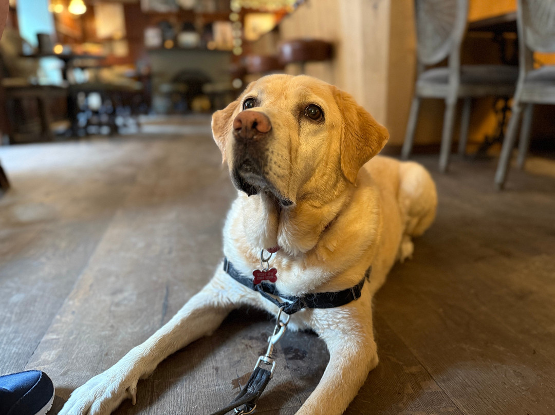 The Red Lion Inn主图