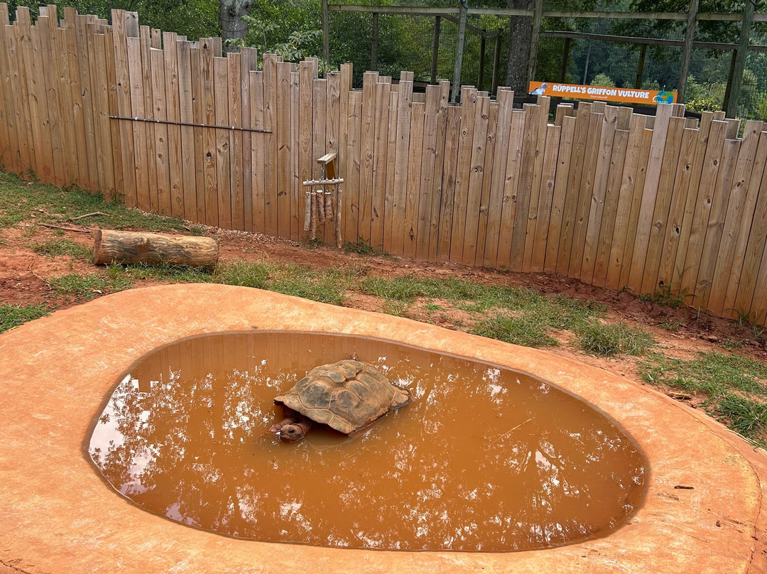 Greenville Zoo-格林维尔必去景点