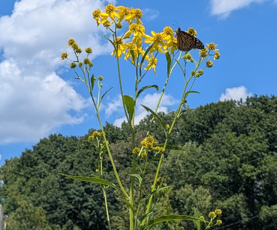 库雅荷加谷国家公园-Brecksville必去景点