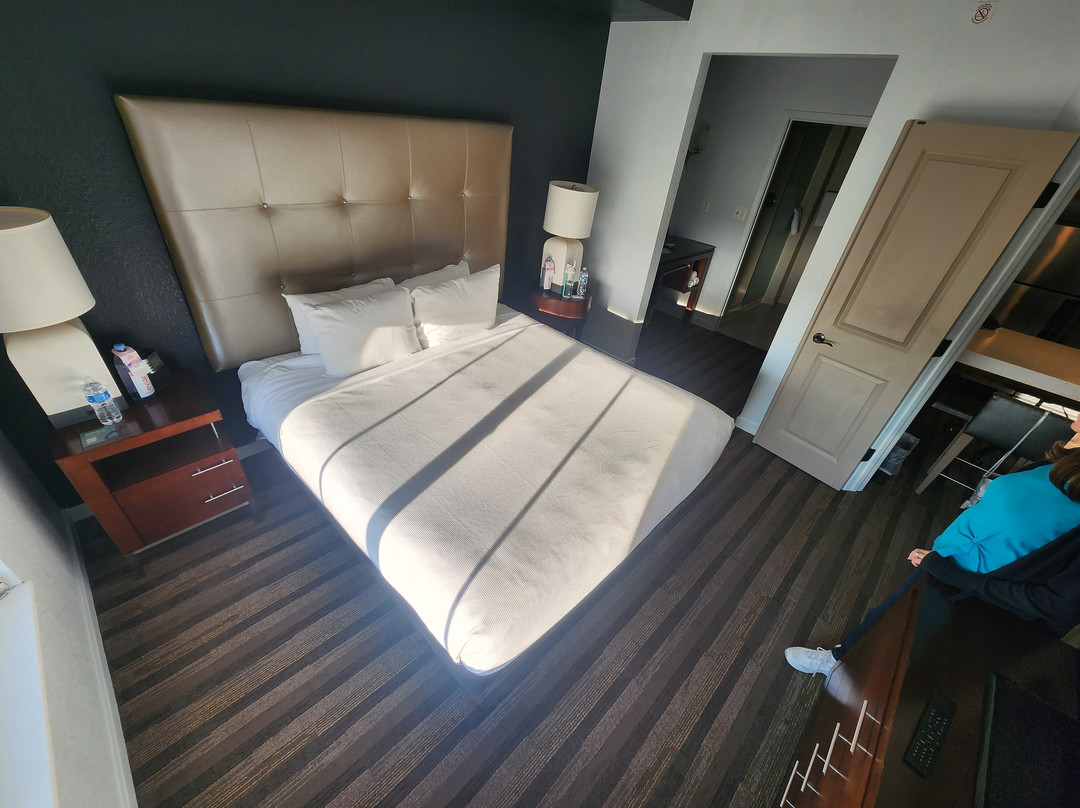 Hyatt House Sterling/Dulles Airport-North主图