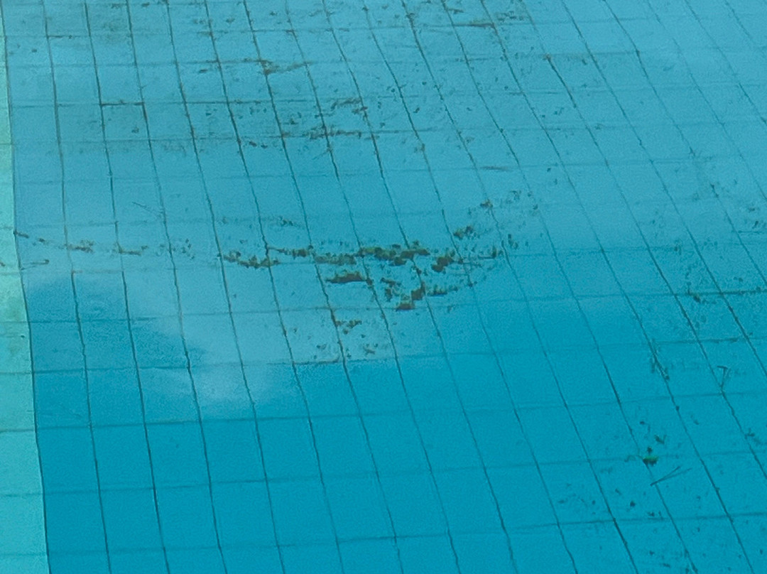 Campoverde Apartments主图