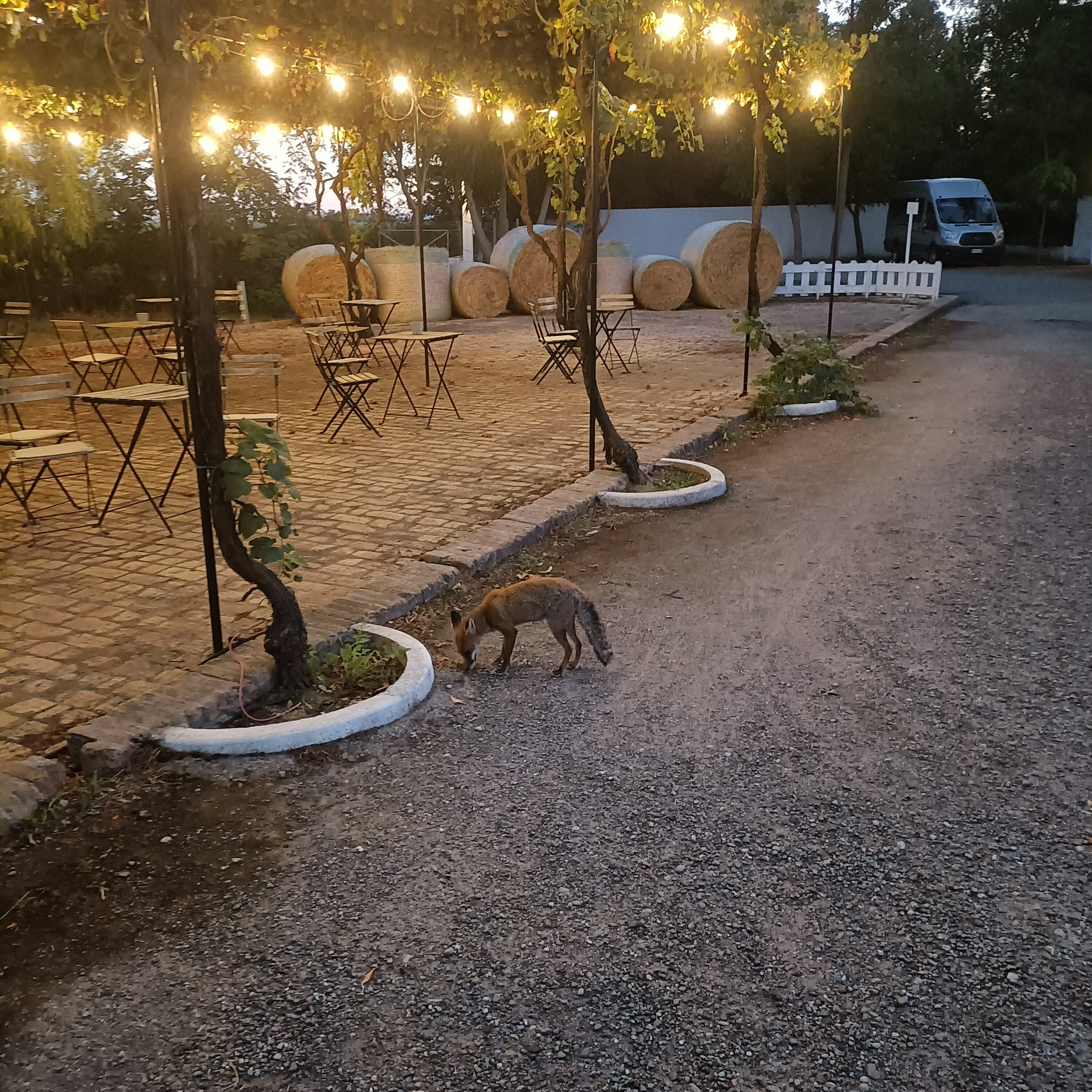 Masseria Macchia & Relais San Pio-官方