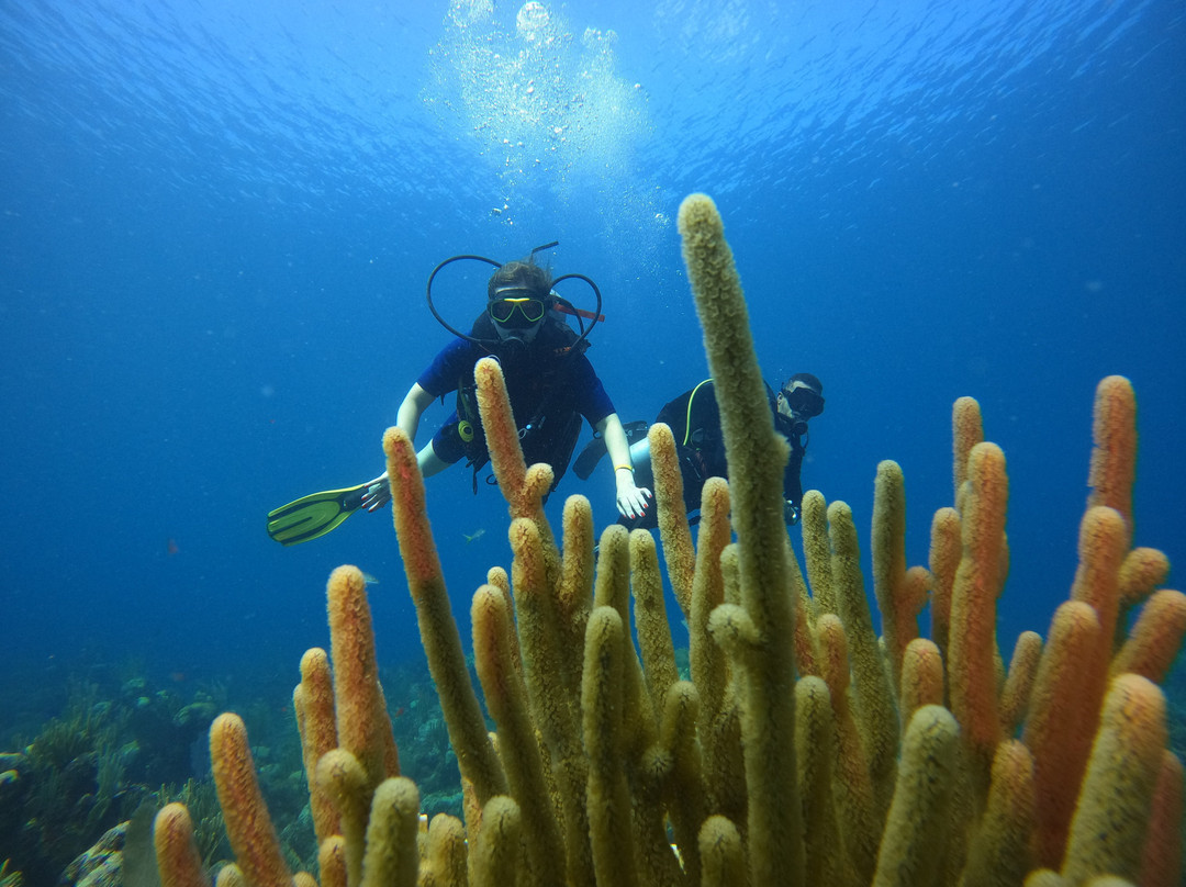 Ruscubadive-巴拉德罗必去景点