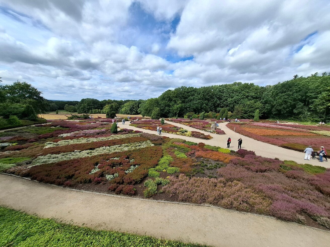Heidegarten im Höepen-Schneverdingen必去景点