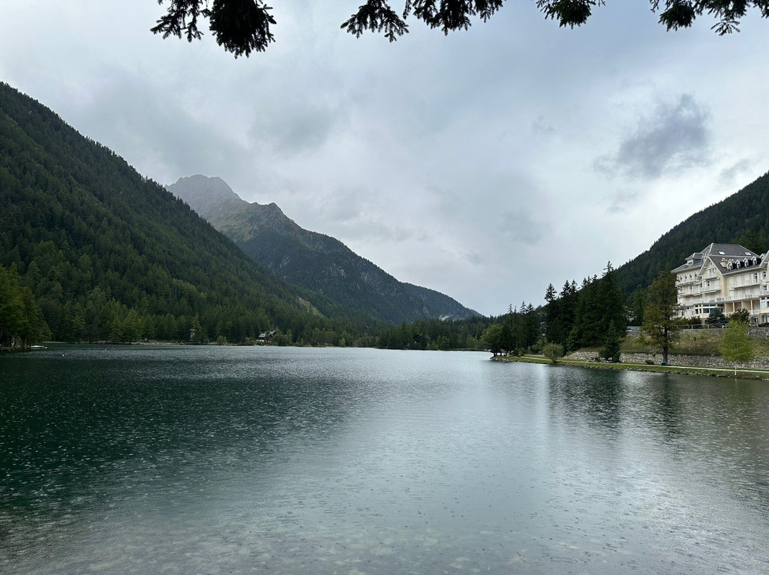 Lac Alpin de Champex-Champex必去景点