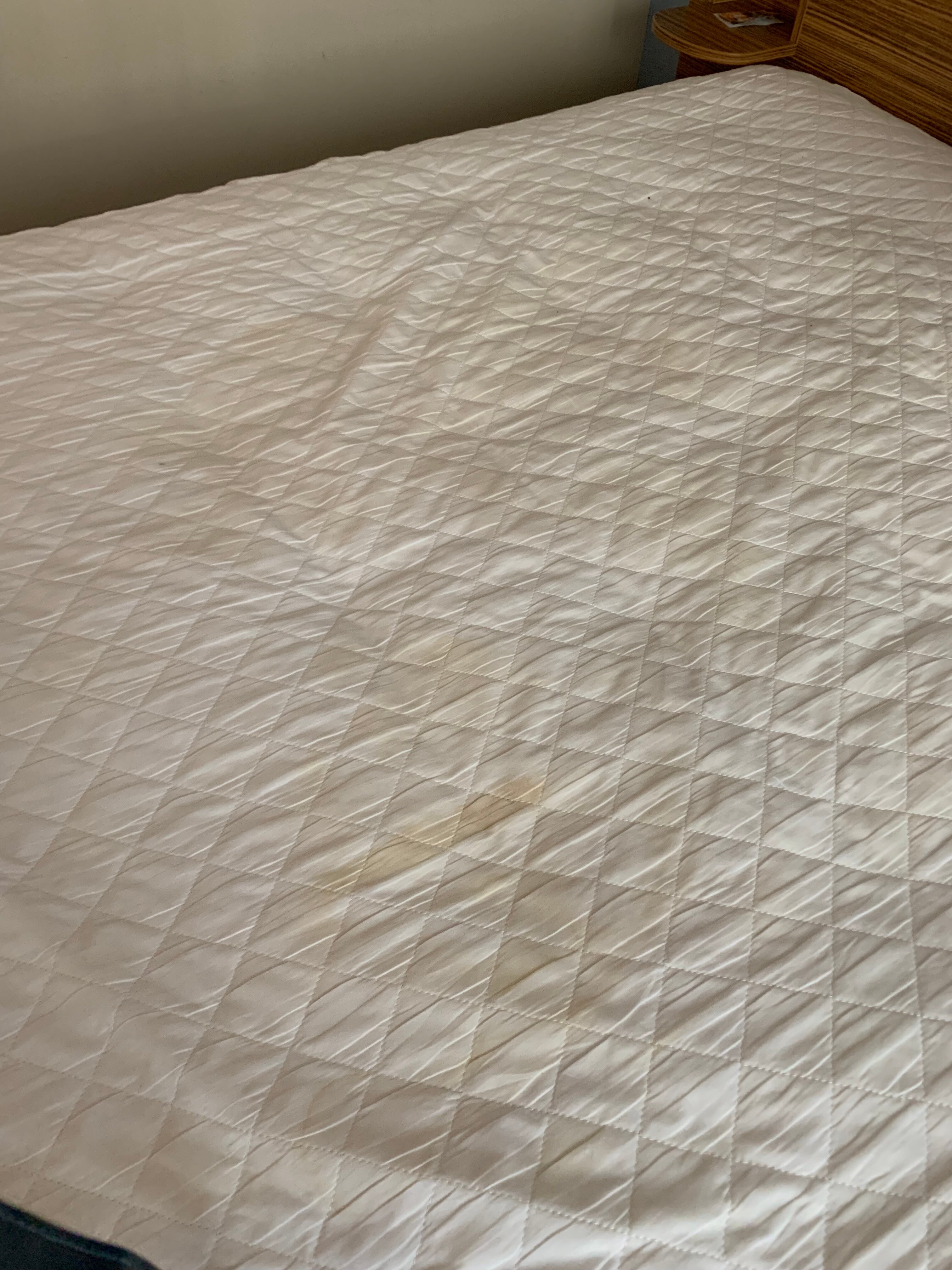 Travelodge Bristol Emersons Green-客卧