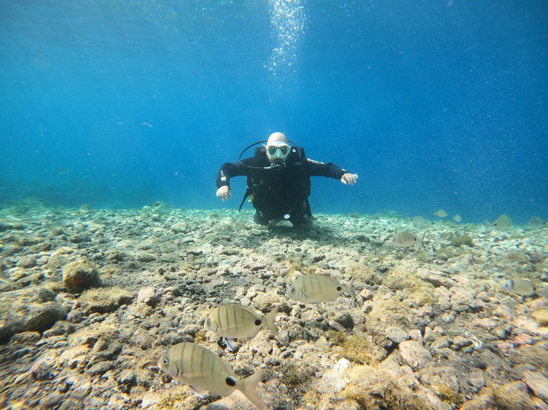 Liquid Planet Dive Centre-卡拉罗港口必去景点