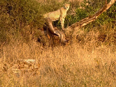 Kenya con Abdul-马林地必去景点