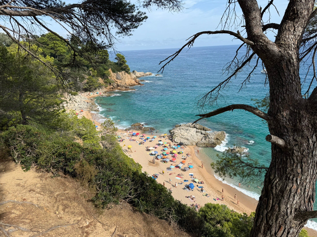Playa Cala Sa Boadella-犹兰特德玛必去景点