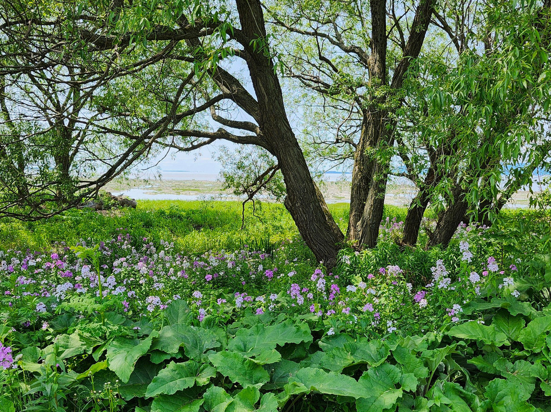 Parc des Trois-Berets-Saint Jean Port Joli必去景点