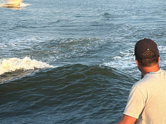 Surf's Up Dolphin Cruises-橙色海湾必去景点