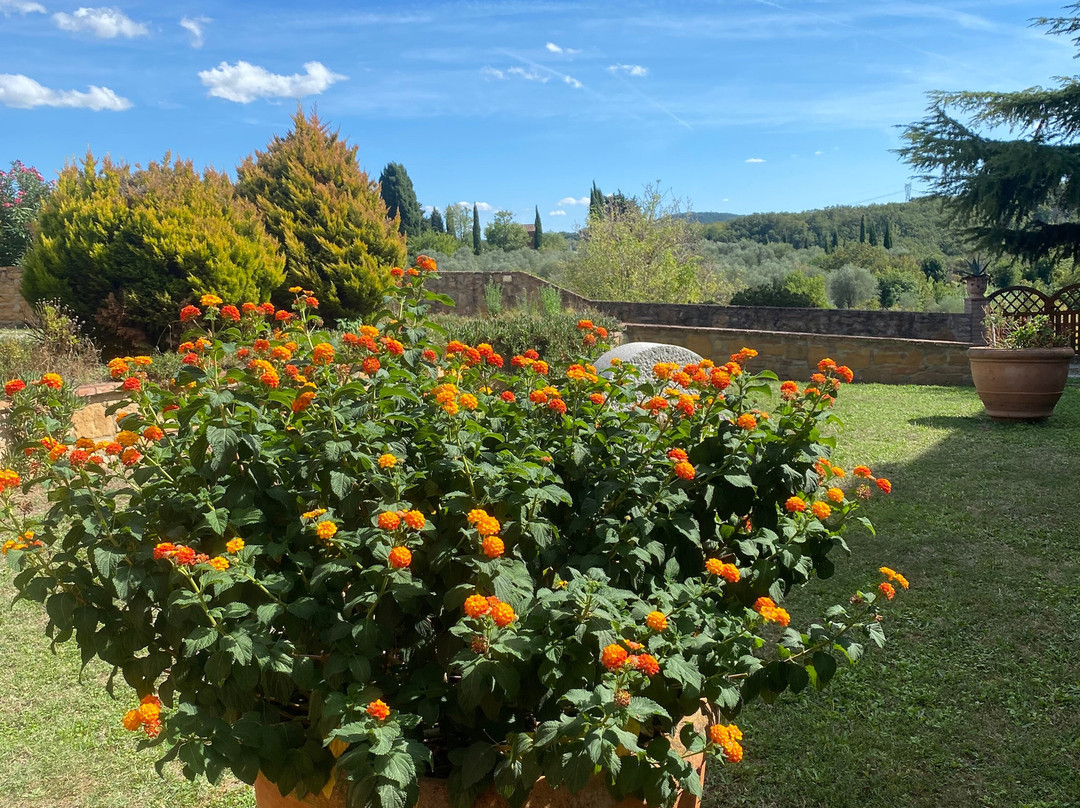 La Casina di Fontirossi Luana主图