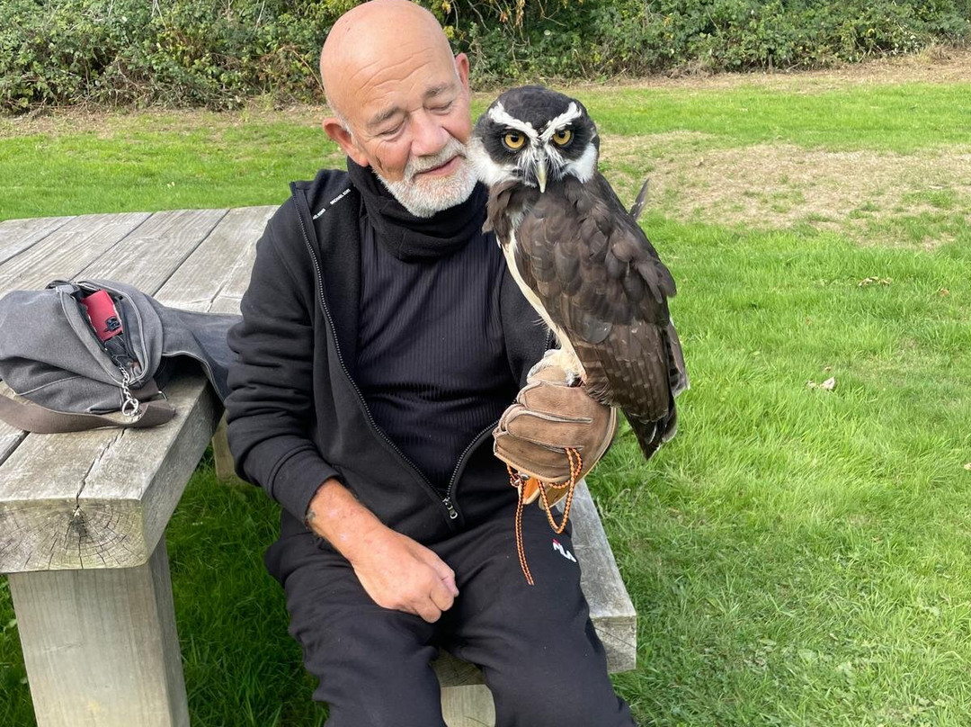 Surrey Hills Falconry-Ockley必去景点
