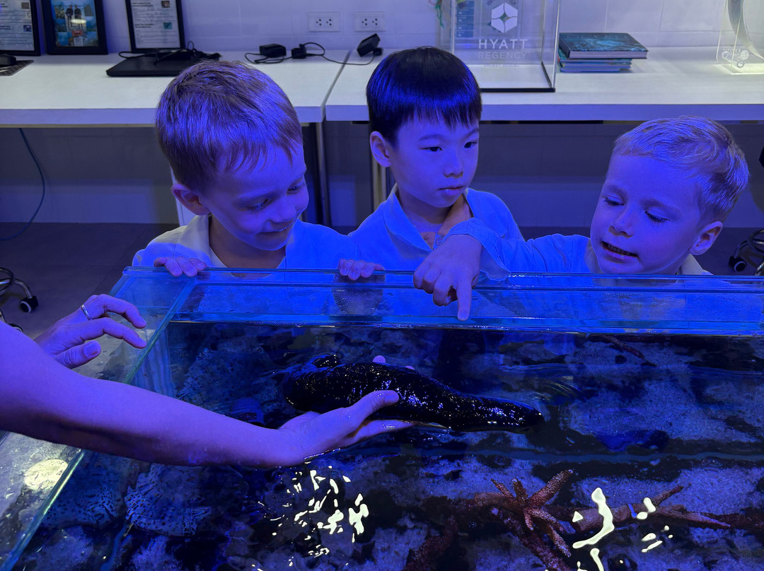 Marine Biological Center - Hyatt Regency Phuket Resort-卡图必去景点