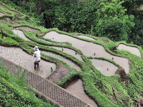 Bella Bali Holiday-克隆孔必去景点