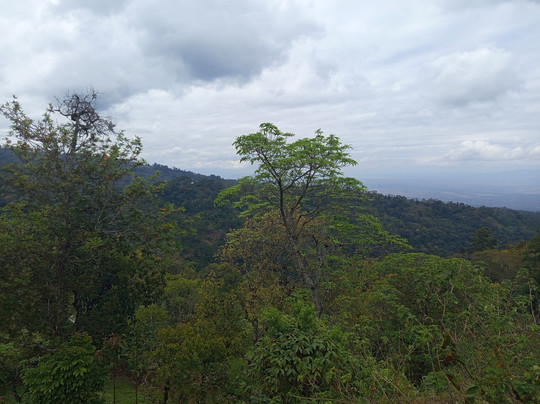 info@samaditours.com-莫西必去景点