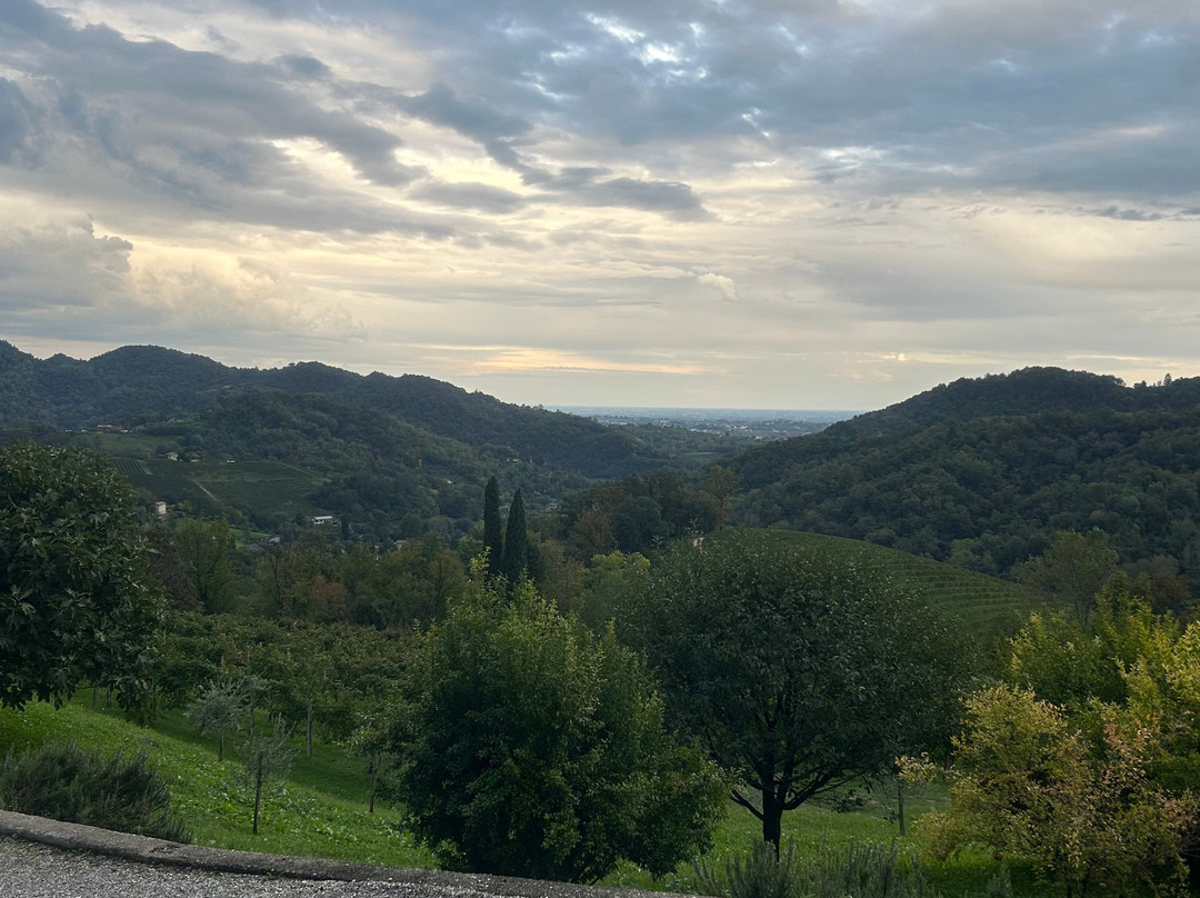 Ville d'Arfanta-Arfanta必去景点