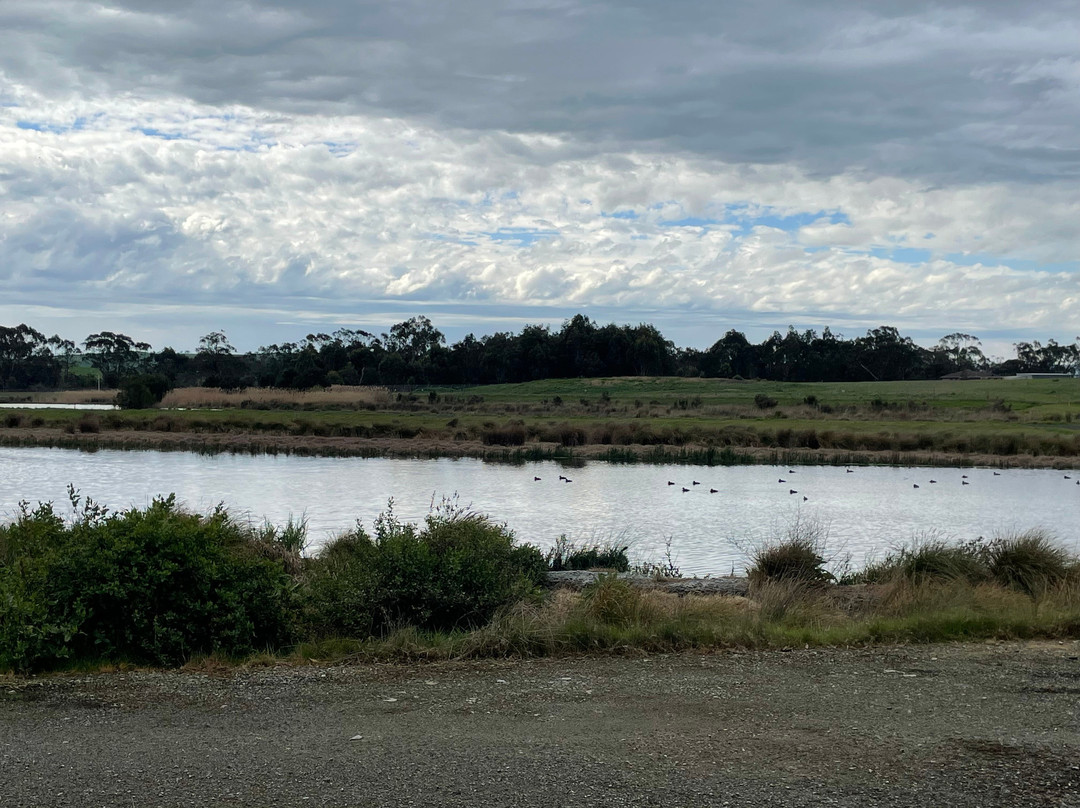 Meeniyan Bird Hide-Meeniyan必去景点