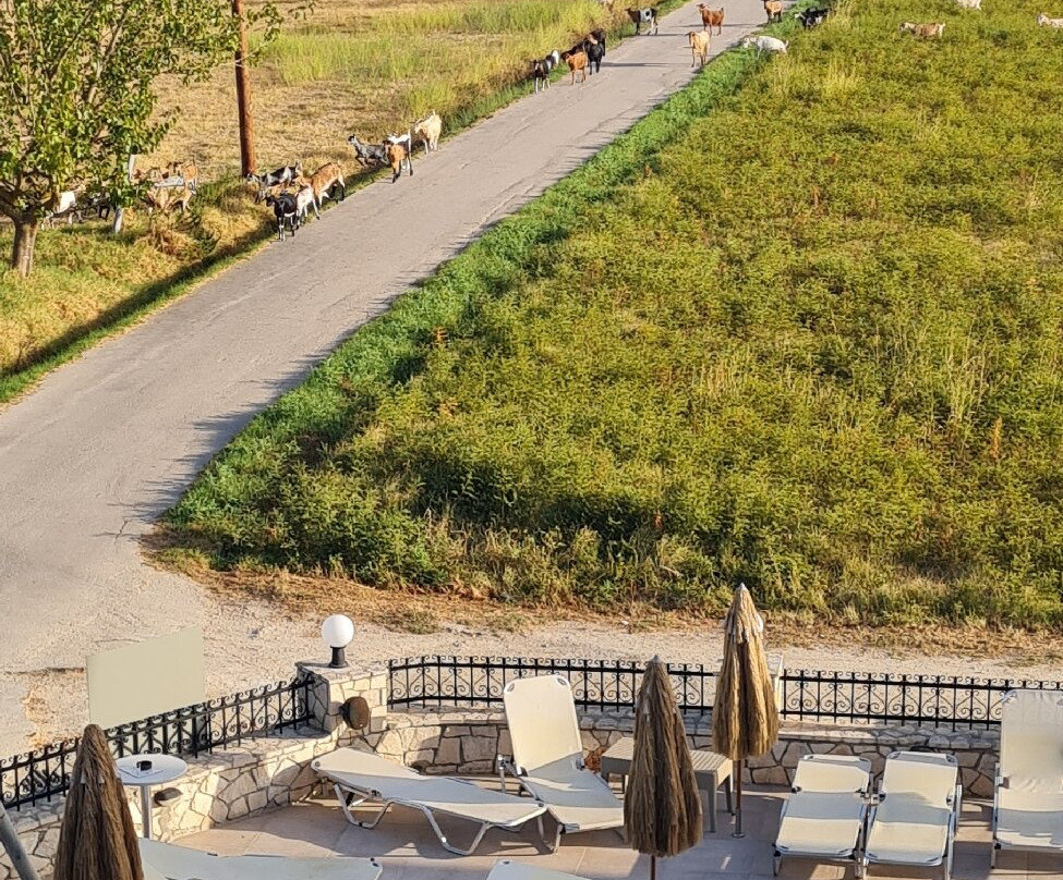 Athina Apartments主图