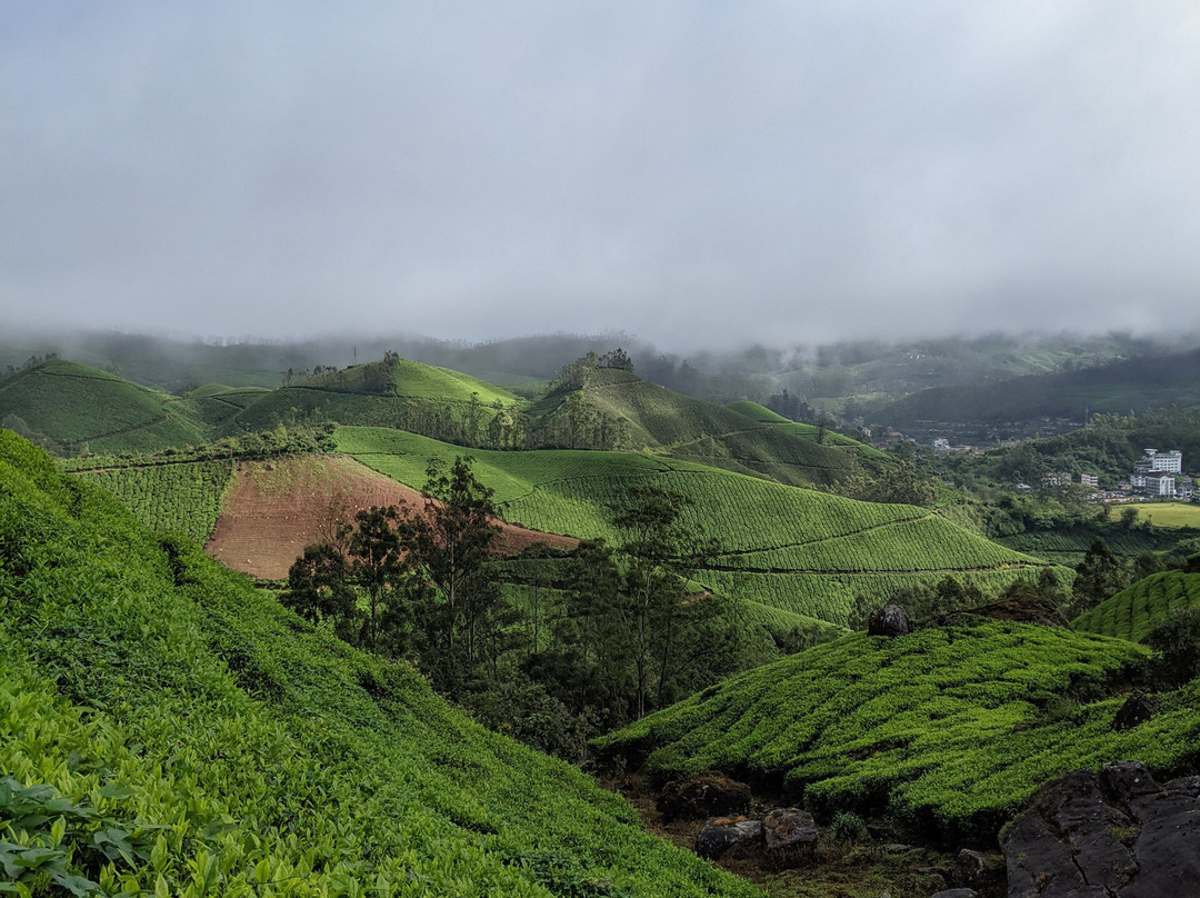 Munnar Hiking Trails-慕那尔必去景点