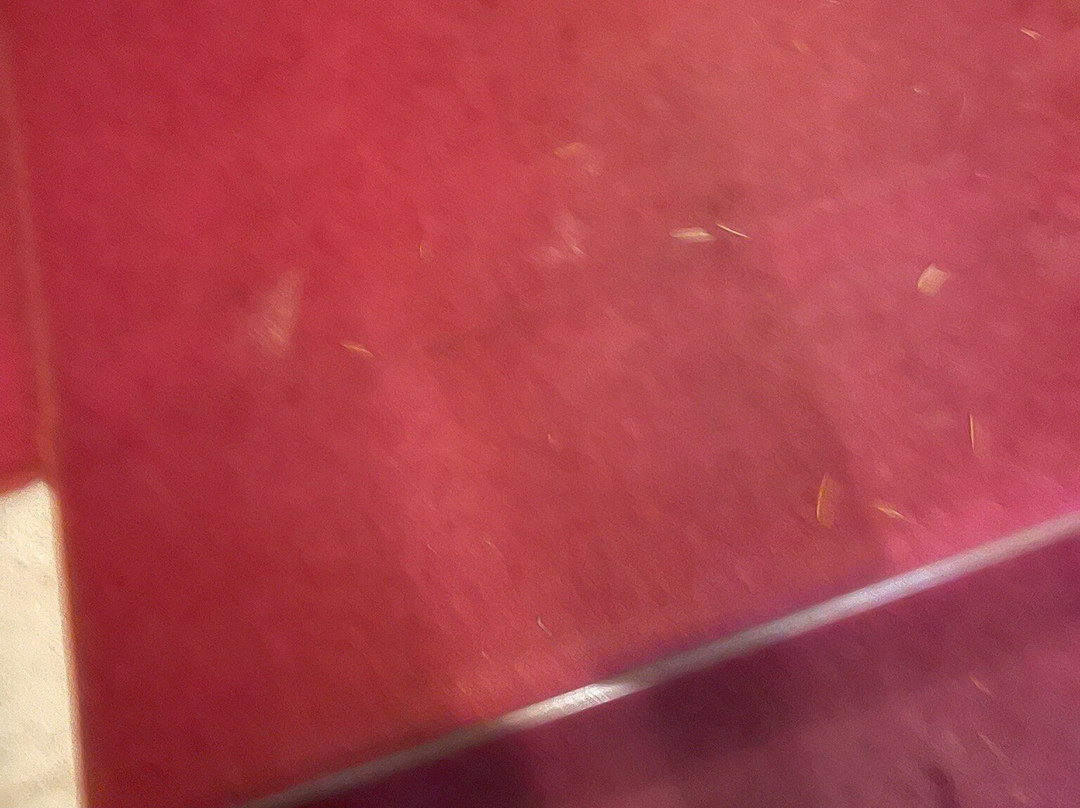 玛尼诺利亚酒店主图