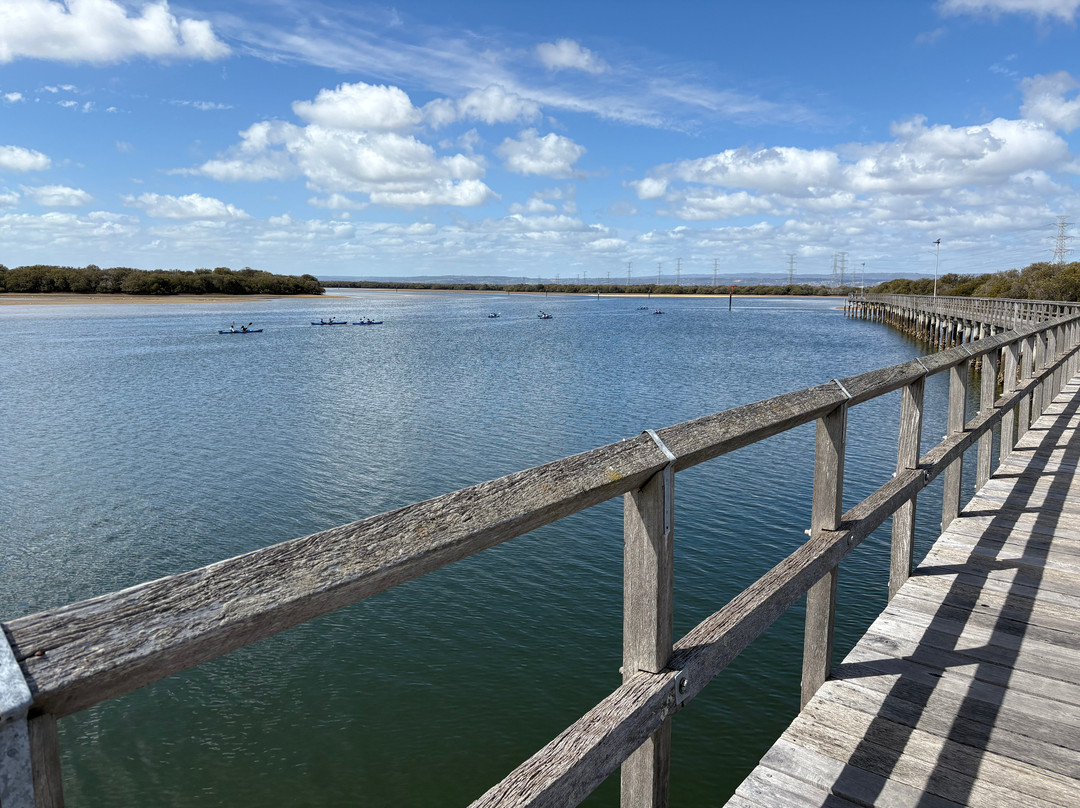 Adelaide Dolphin Sanctuary-Port Adelaide必去景点