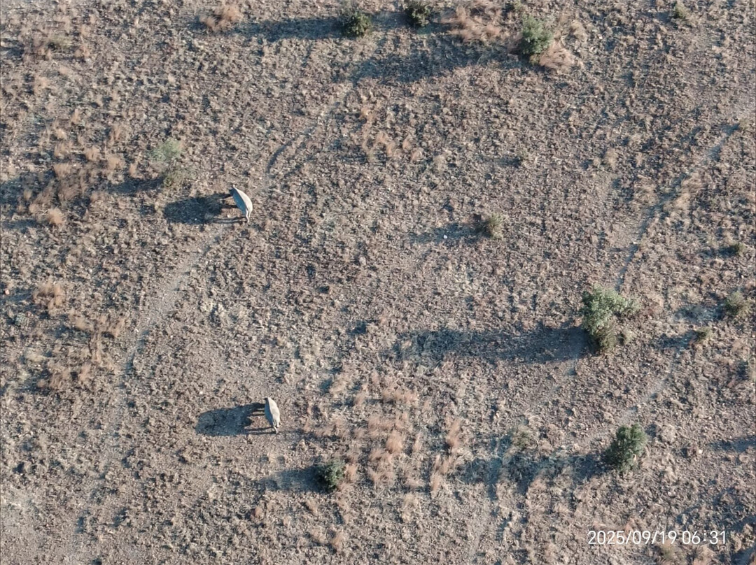 AirVentures Hot Air Ballooning-Muldersdrift必去景点