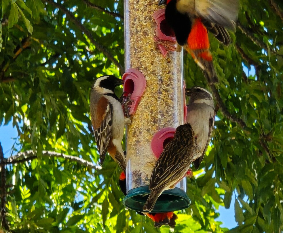 Onse Rus Guest House主图