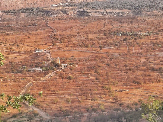 Hispania Tours-马拉加必去景点