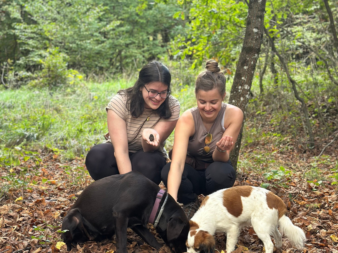 Mati - Truffle-Vipava必去景点
