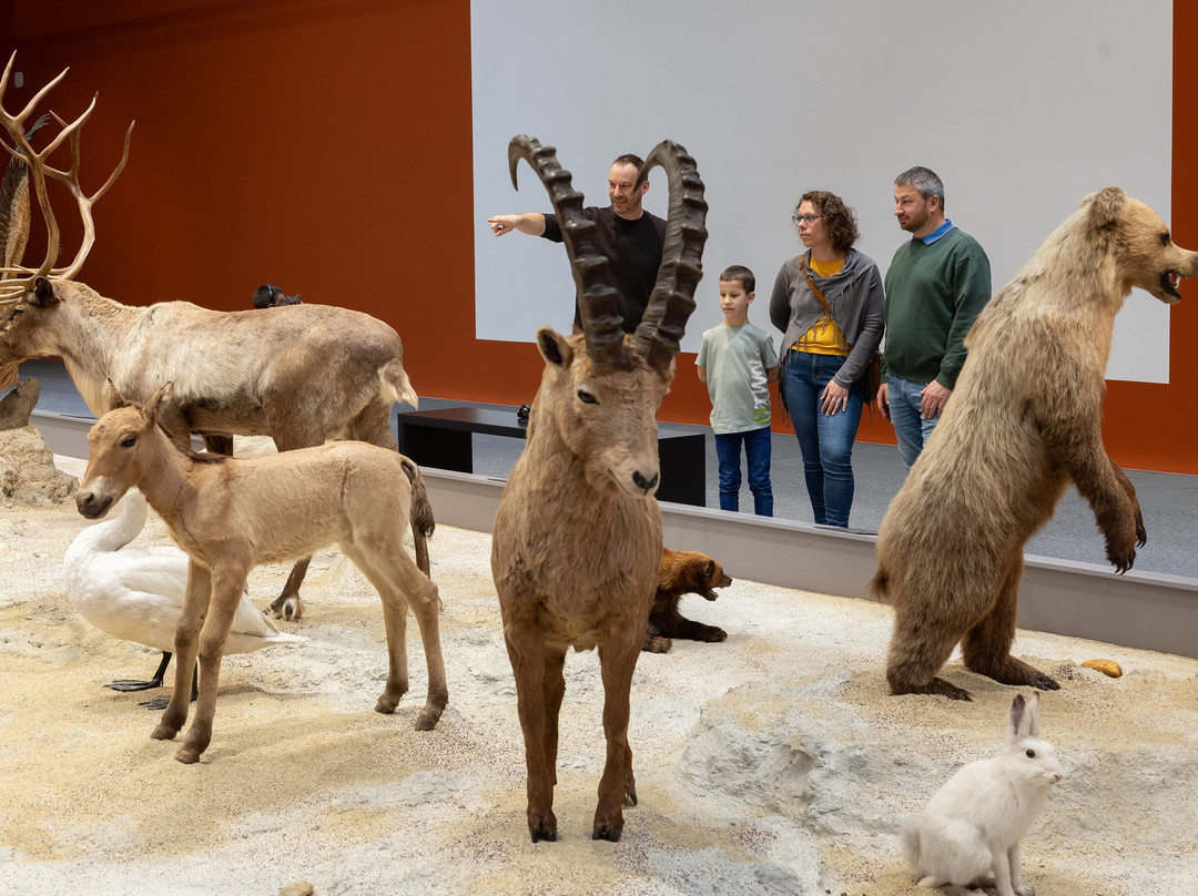MAMUZ Museum Mistelbach-Mistelbach必去景点