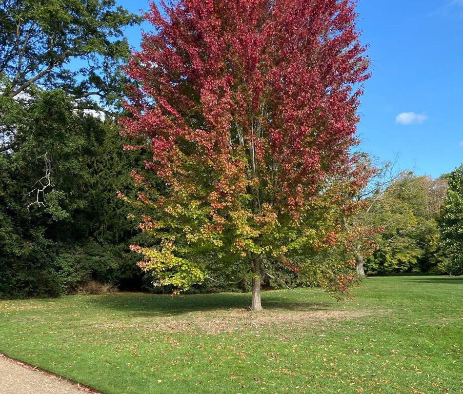 安格尔西修道院-Lode必去景点