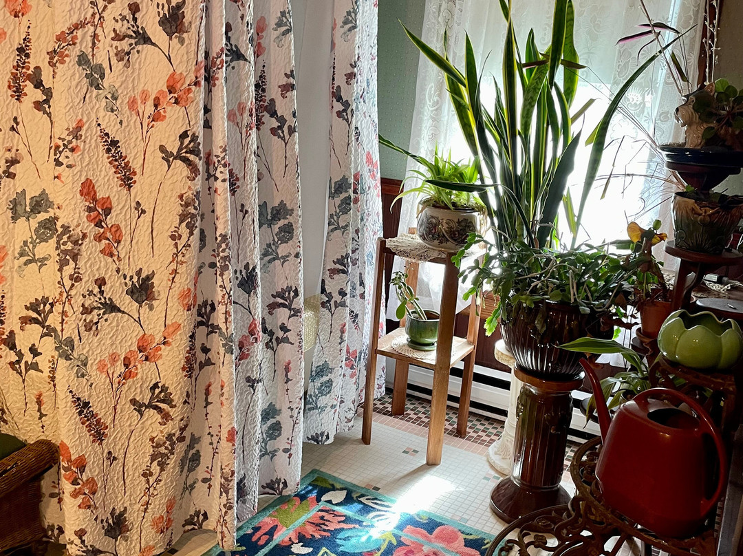 Rose & Thistle Bed & Breakfast主图