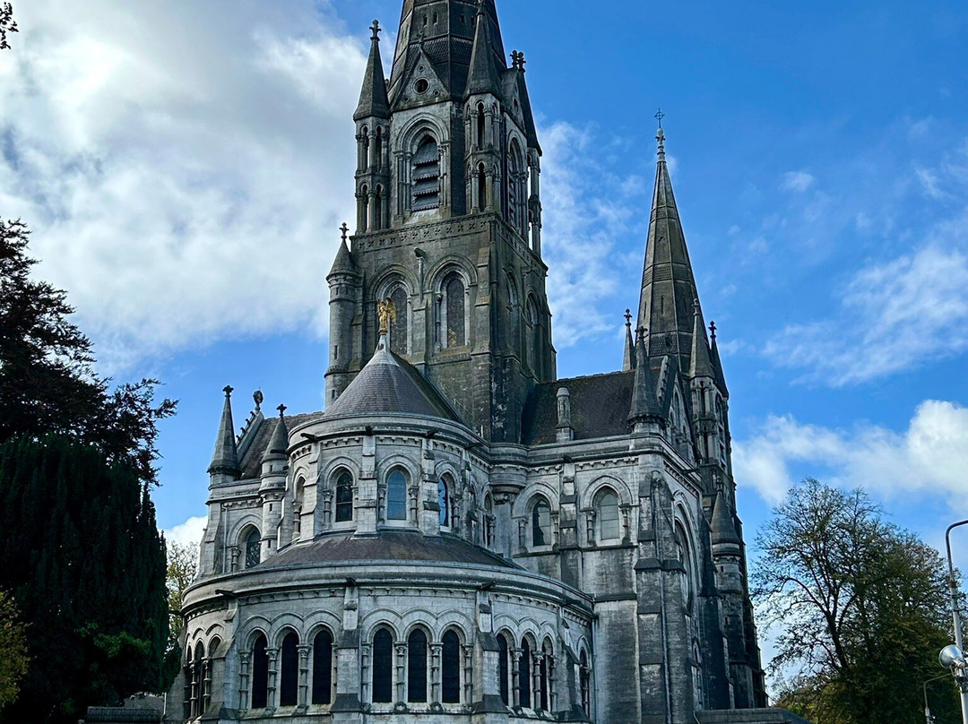St Fin Barre's Cathedral-科克必去景点