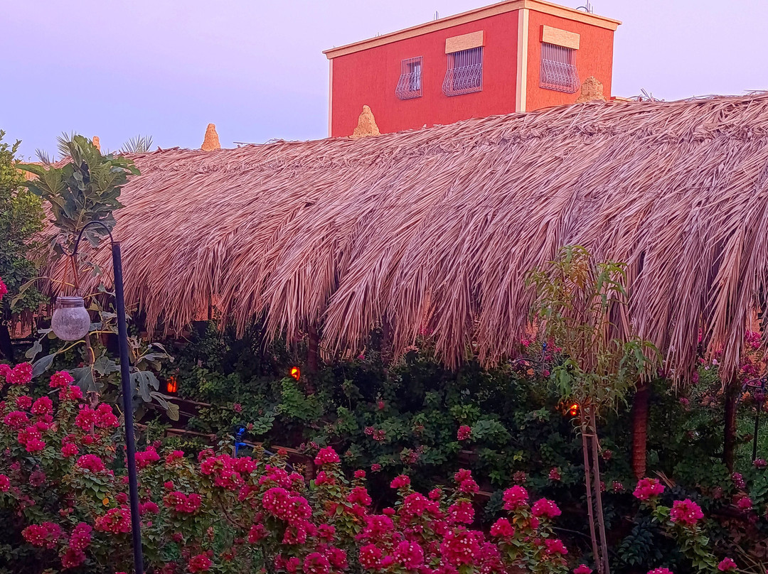 Riad du Sud - Kasbah Hotel主图