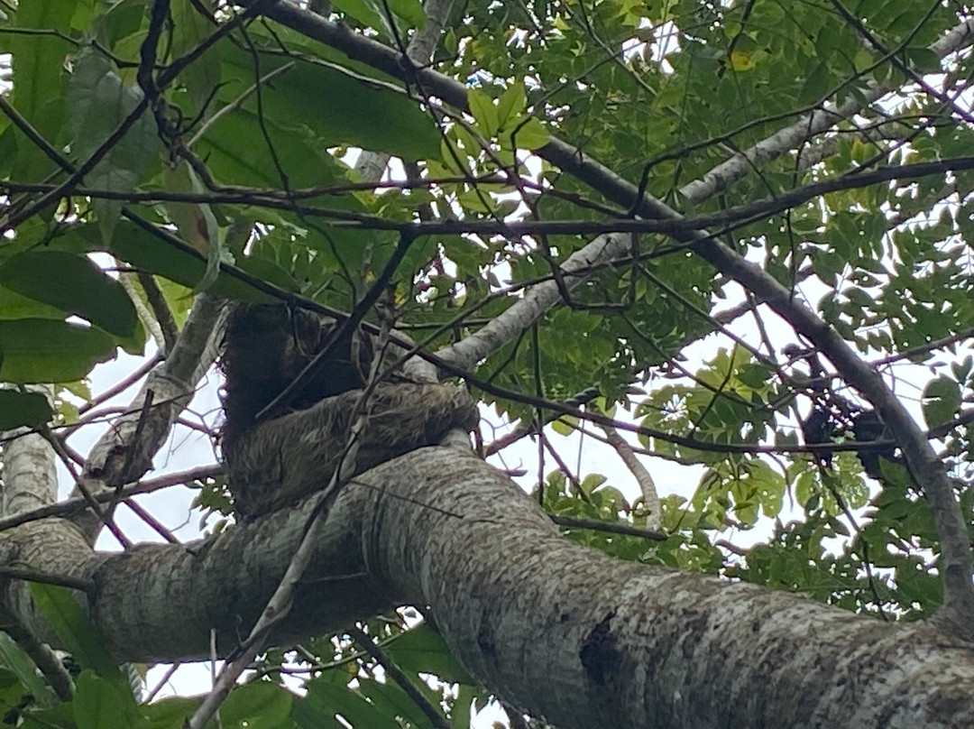 Nauyaca Waterfall Nature Park