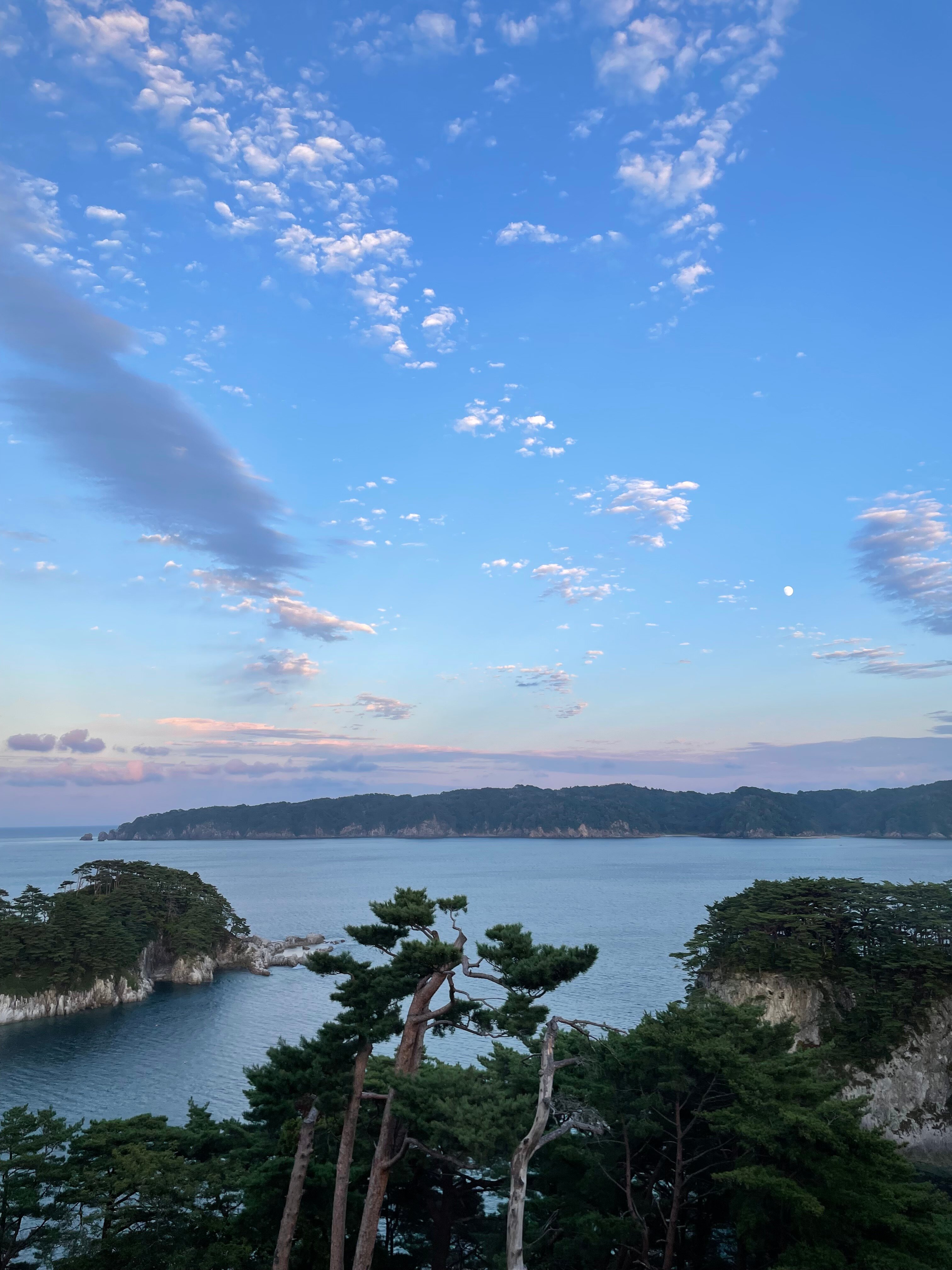 Jodogahama Park Hotel-酒店景观