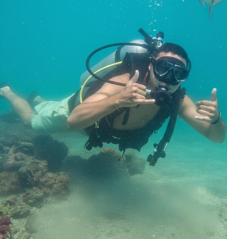 Deep Dive Adventures-嘎林海斯港必去景点