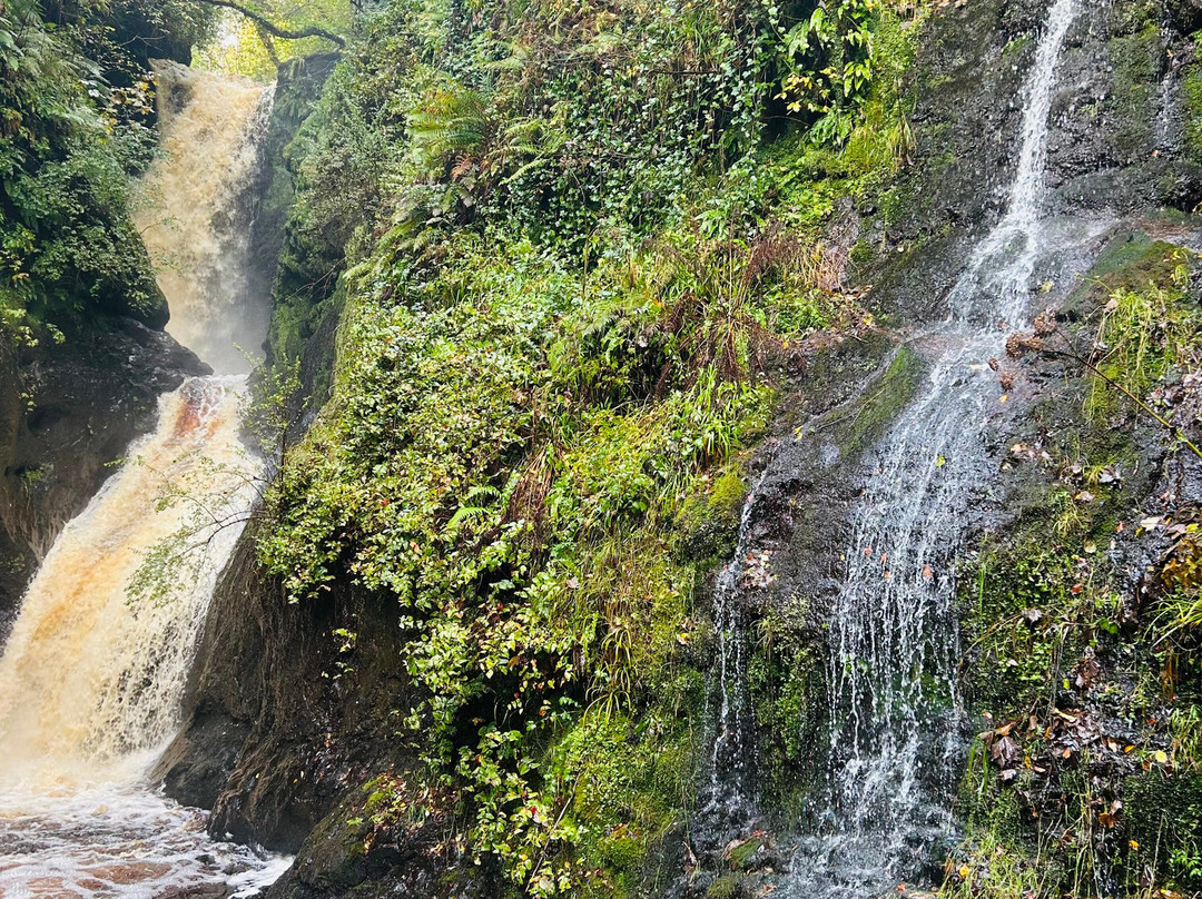 Milliken Tours-Larne必去景点